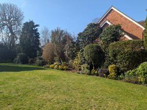 Photo 26- click for photo gallery